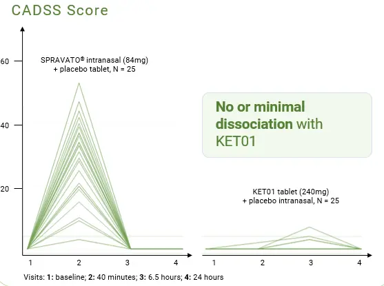 Ketabon Program - CADSS Score